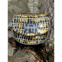 Shiny Croco Printed Gold and Gray Leather Handsewn Roundbag